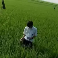 李康